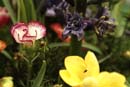 DSC09644