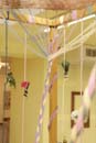 DSC09661