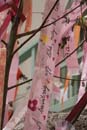 DSC08001