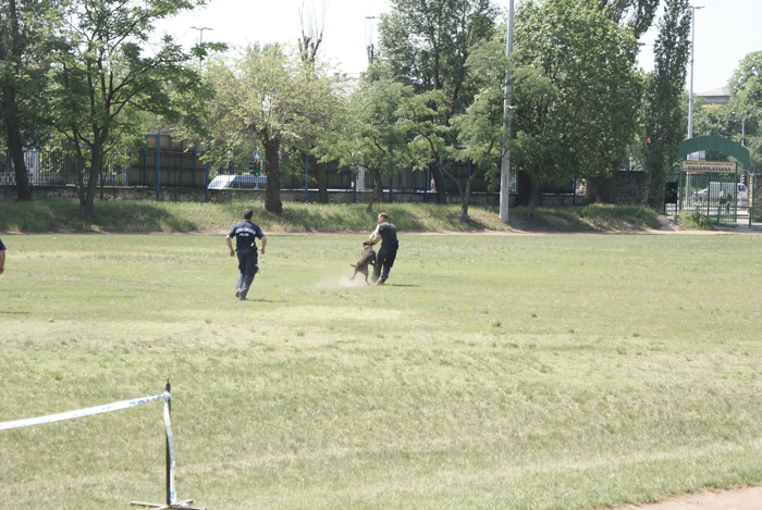 DSC06857